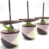 Choco Dark Procusini ® 3D - Imagen 4